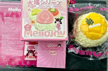 Mellojoy DIYJOJO 스퀴즈 대복 망고