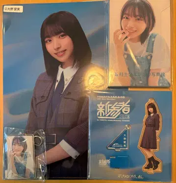 신참자 오노 마나미 히나타자카46 아크릴 스탠드 키링 엽서 클리어 파일