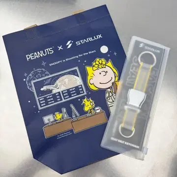 새상품! 대만 한정판 스타럭스 STARLUX A350 키링