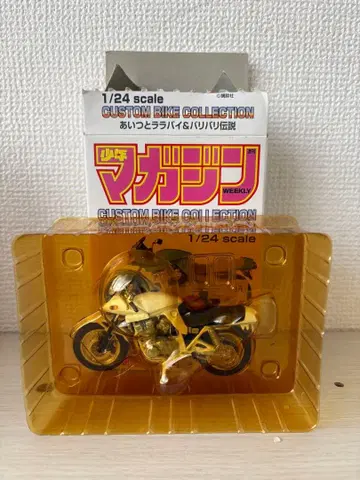 커스텀 바이크 컬렉션 1/24 스케일