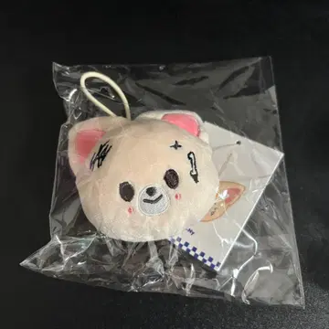 straykids 아이엔 KARMA 팝업 네임택 미개봉 새상품