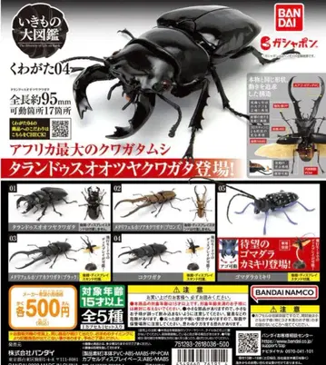 생물대도감 장수풍뎅이 04 타란두스오오츠야쿠와가타