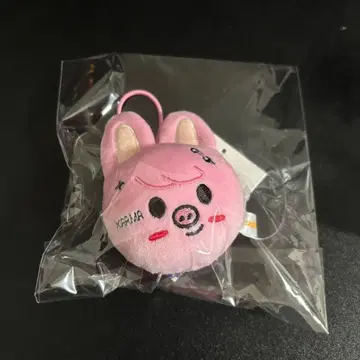 straykids 창빈 KARMA 팝업 네임택 미개봉 새상품