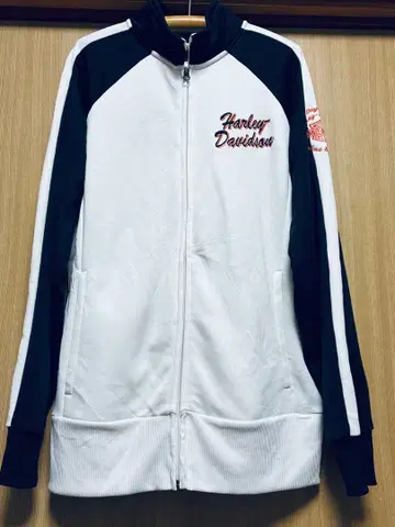 할리데이비슨 빈티지 저지 LL 가슴, 왼쪽 팔, 백 자수 포함