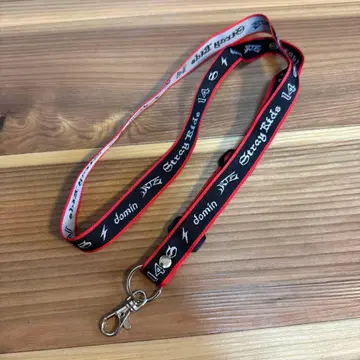 straykids 스키즈 한 넥스트랩 dominate