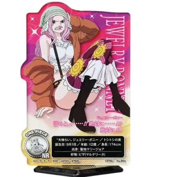 원피스 주얼리 보니 아크릴 스탠드 컬렉션 카드