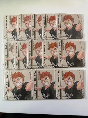 하이큐 히나타 쇼요 하이큐전 아트 코스터