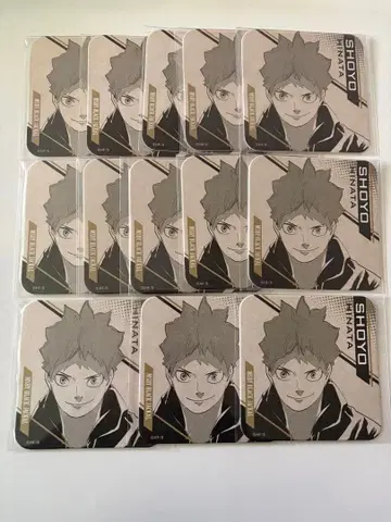 하이큐 히나타 쇼요 하이큐전 아트 코스터