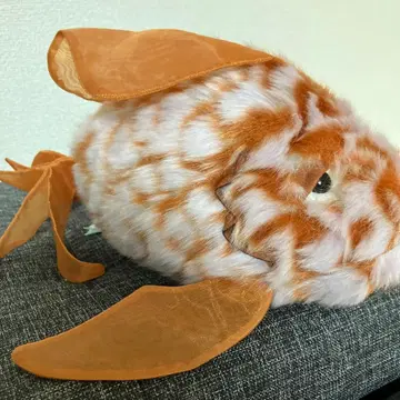 jellycat 까다로운 오렌지 물고기