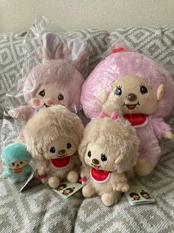 몬치치 침탄 묶음 판매