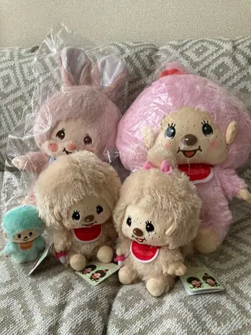 몬치치 침탄 묶음 판매