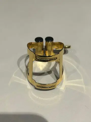 밴딩렌 테너 색스 리가처