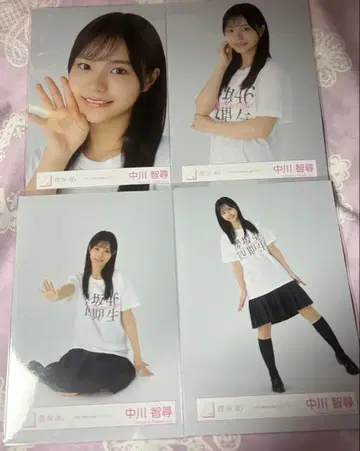 사쿠라자카46 나카가와 치히로 Firstshowcase 로고T셔츠 컴프