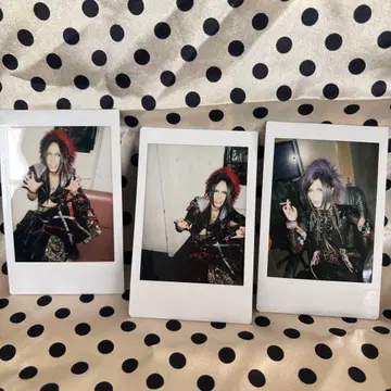Royz  폴라로이드 3장 세트