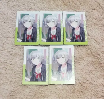 프로세카 에피카 히노모리 시호