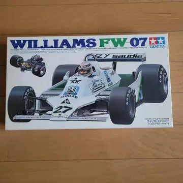 윌리엄스 FW-07