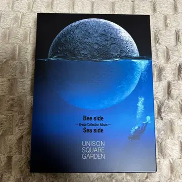 UNISON SQUARE GARDEN Bee side Sea side