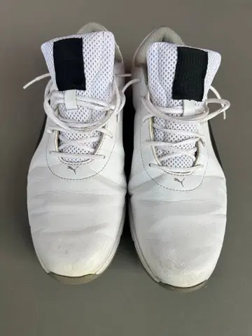 Puma 골프화 화이트/블랙