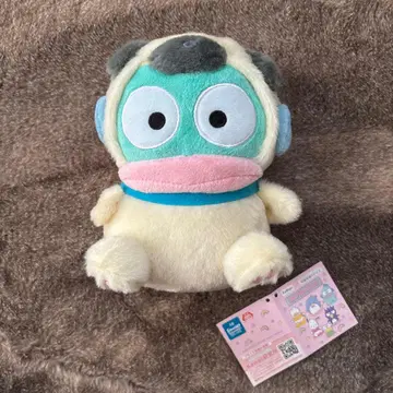 한교동 퍼그 봉제 인형