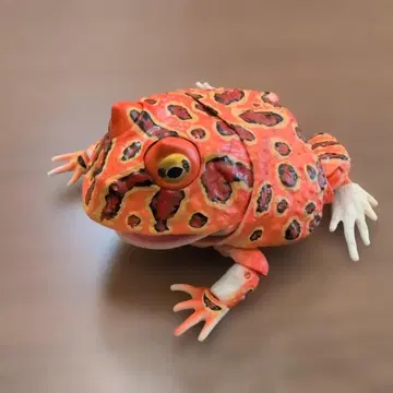 생물대도감 어드밴스 왕관 두꺼비