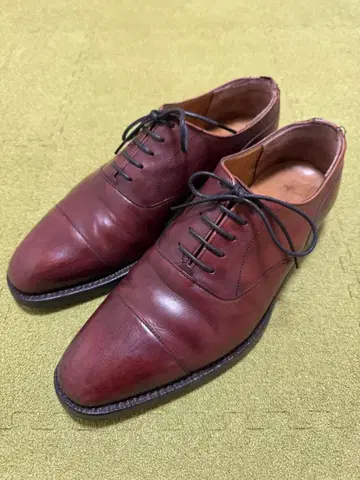 치니 x 유나이티드 애로우즈 별주 스트레이트 팁 버건디 가죽 신발