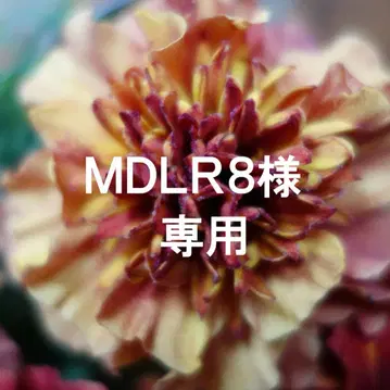 목걸이 3개와 귀찌 3개