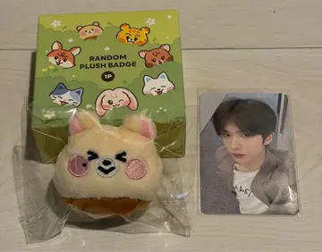 nct dream Dreamiez 지성