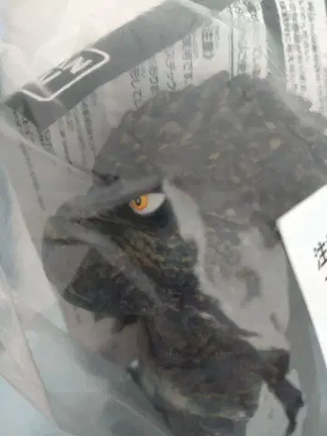 고질라 마이너스 원 2023 클리어 한정판 진좌수 고질라 스토어