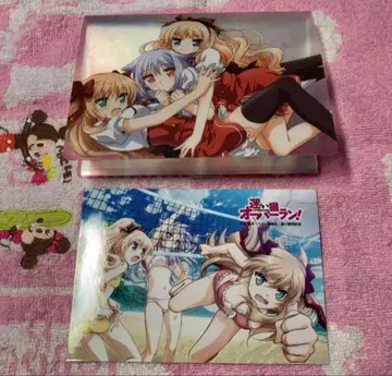 길 잃은 고양이 오버런! 미니 포토 앨범