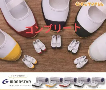 실내화 미니어처 컬렉션