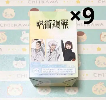 주술회전 회옥옥절 농구ver. 트레이딩 오로라 캔뱃지 9Box