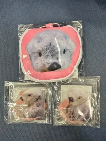 랏코의 메이쨩 복권 리턴즈 랏코 메이 토바 수족관