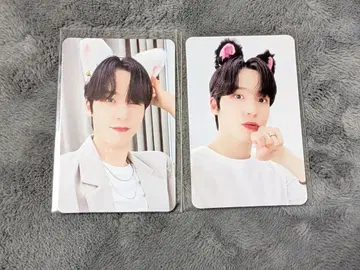 ATEEZ 윤호 트레카 메이크스타 고양이 귀 2장 세트