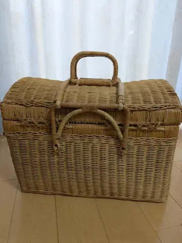 바스켓 백 바스켓