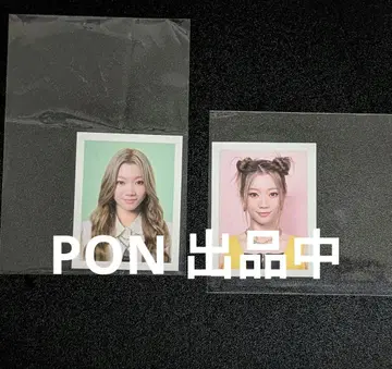 사카구치 리노 KCON ID 사진 세트 (LA와 JAPAN)