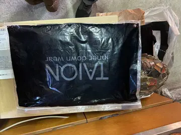 TAION V넥 이너 다운 베스트