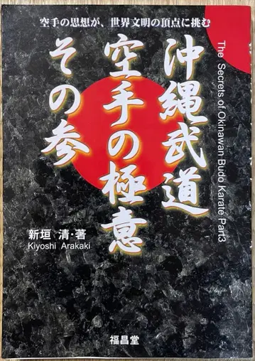 아라가키 세이 오키나와 무도 가라테의 극의 그 세 번째