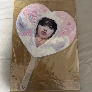 테산 마스터 부채