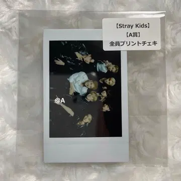 Stray Kids scars 타워 레코드 A상 전원 프린트 폴라로이드
