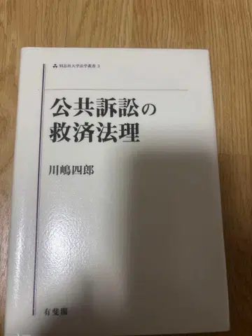 공공 소송의 구제 법리