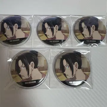 우에하라 유이 캔뱃지