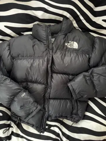 THE NORTH FACE 눕시 US 규격 700
