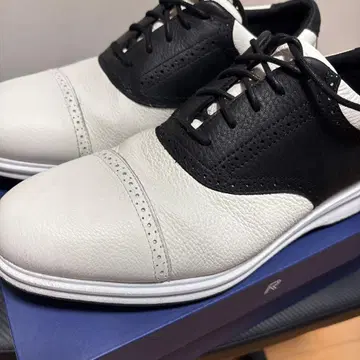 Rockport 토탈 모션 링크스 캡토 워터프루프 박스 포함