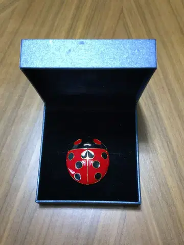 죠죠의 기묘한 모험 JOJO전 모험의 파문 무당벌레 브로치