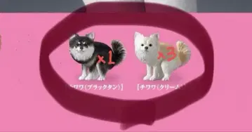 굼벵이 2 치와와 블랙 가챠 굼벵이~누2