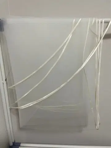 innocently 웨딩 베일 2 x 3.5m