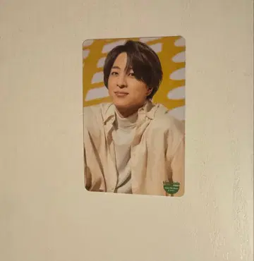 timelesz 테라니시 타쿠토 키쿠치 후마 트레이딩 카드