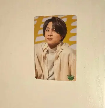 timelesz 테라니시 타쿠토 키쿠치 후마 트레이딩 카드