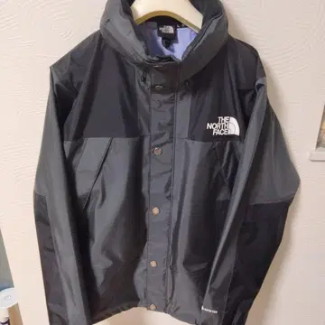 THE NORTH FACE 마운틴 레인텍스 L 사이즈