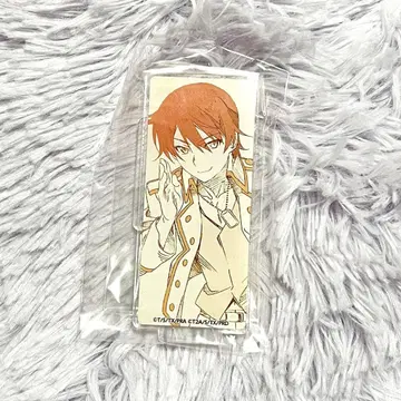 프리티 리듬 오로라 드림 히비키 아크릴 스탠드